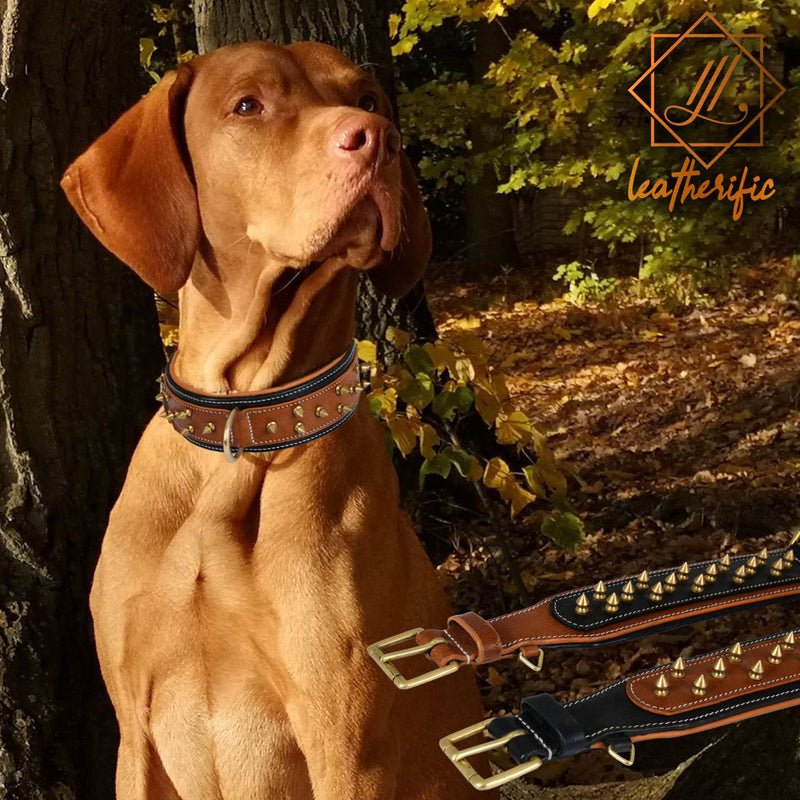 Genuine Leather Dog Collar by Leatherific, Premium Bridle Leather, Heavy Duty, Padded, Strong, Screwed Spikes, Medium, Large, Extra Large Breeds, 2" Wide (Charcoal, Neck Size 22"-26") Charcoal Neck Size 22"-26" - PawsPlanet Australia