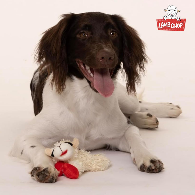 Multipet INTERNATIONAL 843140 Lambchop Plush Squeak Toy Mini for Pets, 6-Inch, White, small 6" - PawsPlanet Australia