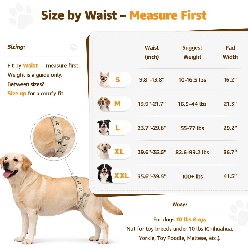 Adjustable Dog Lift Harness, Dog Sling for Large Dogs Lift Support and Rehab Harness for Weak Rear Legs, Soft Hind Leg Support Helps Senior, Injured,Disabled and After ACL Surgery Dogs(Black,X-Large) Black X-Large