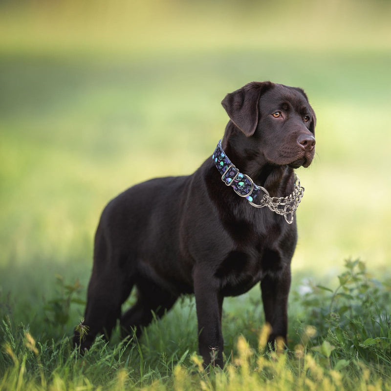 Stainless Steel Chain Martingale Collar for Dogs, No Pull Slip Cinch Choker Choke Collar Training Escape Proof Heavy Duty Dog Collar for Small Medium Large Pet Boy Male Dogs, Skull L L(Neck19-24") - PawsPlanet Australia