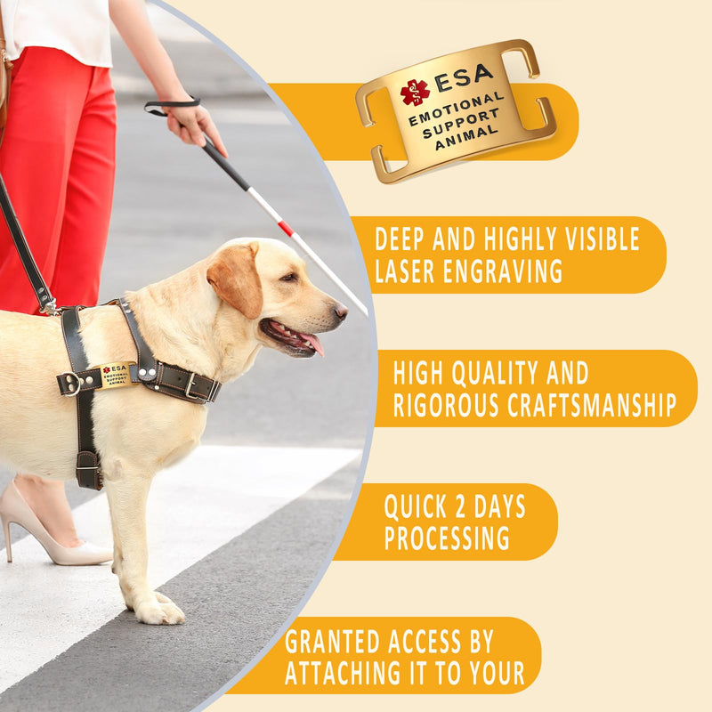 ESA Dog Tag – Surgical Steel, Non-Slip Grip, Deep Engraved & Hand Enamel ESA ID – Fits 1” Collar, Silent - Extra Large Slide-On ID Badge for Collar or Harness Slider: Medium 3/4 inch collars Pvd Gold - PawsPlanet Australia