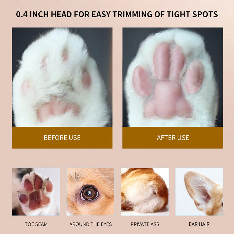 Dog Paw Clippers with LED, USB Rechargeable Professional Dog Grooming Kit, Low Noise Dog Paw Trimmer for Small Dogs and Cats Hair Around Face, Paws, Eyes, Ears, Rump (Black) Black - PawsPlanet Australia