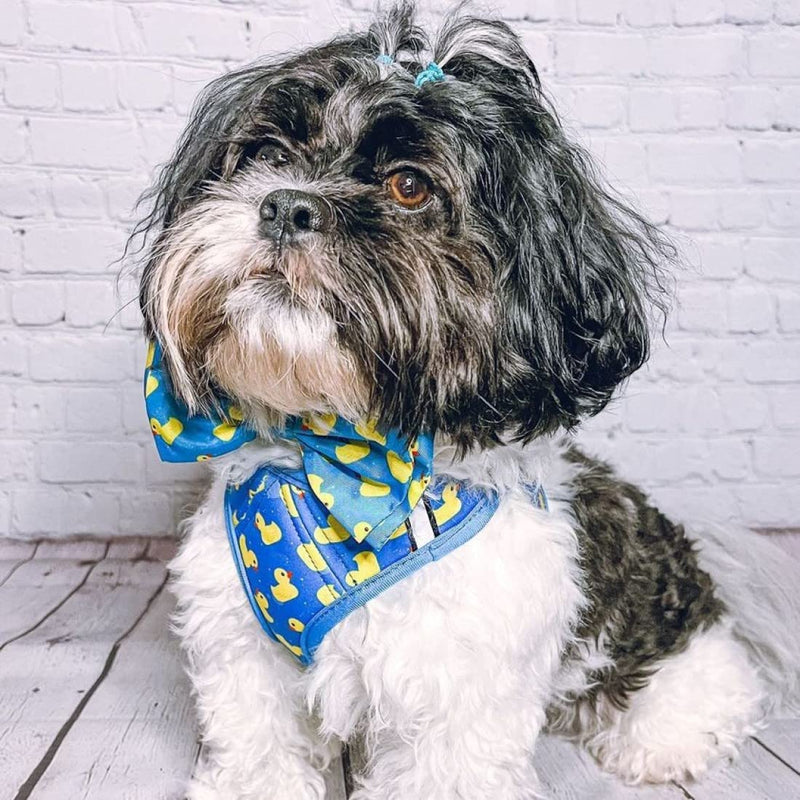 Huxley & Kent Hudson Walking & Training Harness - Lucky Ducky (Extra-Small, 6-10lbs) - Easy Control Step-in Mesh Vest Harness with Reflective Strips for Safety - H&K Extra-Small - PawsPlanet Australia