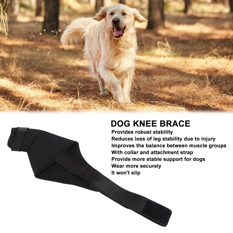 Qcwwy Dog Knee Braces for Hind Leg, Dog Hind Leg Orthotics for Dogs with ACL Kneecap Dislocation, Arthritis, Breathable, Comfortable Dog Joint Protector (XL Right Leg)