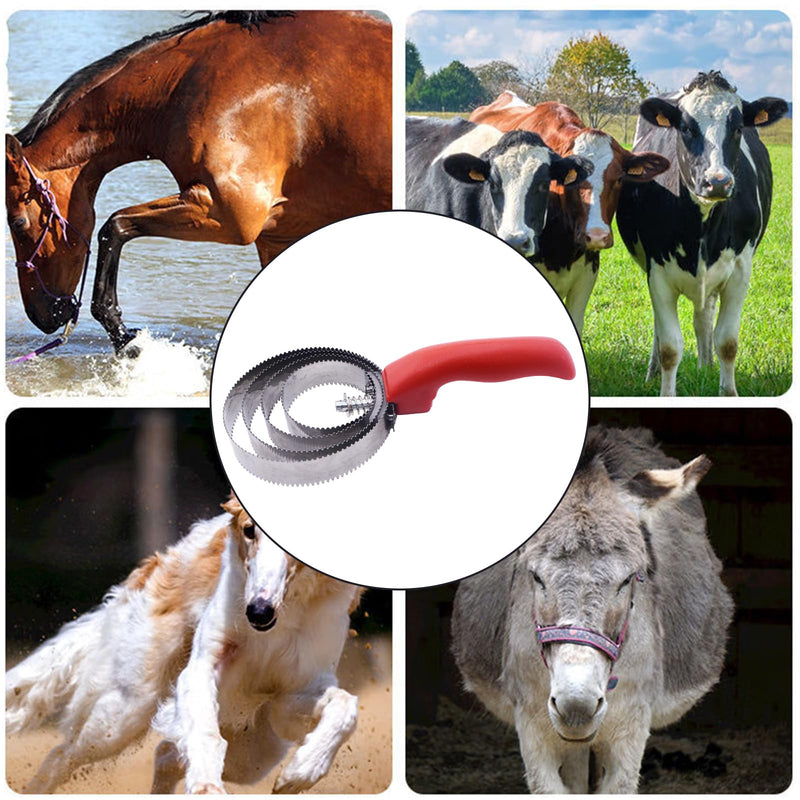 RUIAN Curry Comb Reversible Stainless Steel Curry Comb with Soft Touch Grip Multifunctional Stainless Steel Fine Tooth Pet Horse Grooming, Red - PawsPlanet Australia
