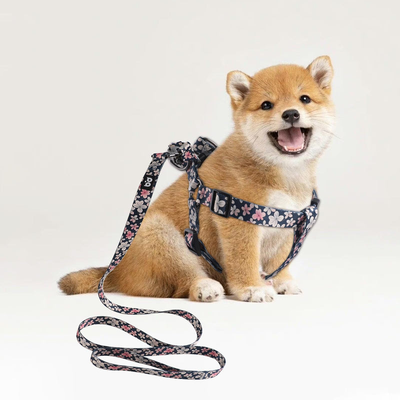 QQPETS Dog Harness Leash Set Adjustable Heavy Duty No Pull Halter Harnesses for Small Medium Large Breed Dogs Back Clip Anti-Twist Perfect for Walking - PawsPlanet Australia