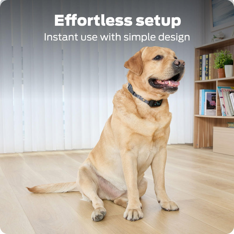 Dog Bark Collar- Waterproof - Rechargeable Digital Bark Collar Anti Barking Collar with 5 Adjustable Sensitivity Levels Dogs - PawsPlanet Australia