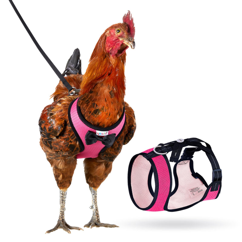 Adjustable Chicken Harness Diaper (5.4ft Leash) – Breathable & Washable Secure Training for Hens, Ducks & Chicks | Outdoor Walking & Discipline Solution (Months, Pink) Medium