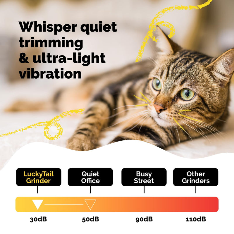 LuckyTail Pet Nail Grinder for Dogs and Cats - Super Quiet and Low Vibration Electric Dog Nail Grinder with 2 LED Lights - USB Rechargeable and Cordless - 2 Speeds - Small to Large Pets - Teal - PawsPlanet Australia