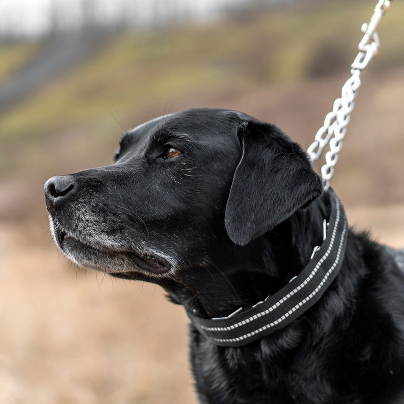 Sprenger Reflective Collar Cover for Prong Training Dog Collars - Lightweight Woven Nylon Suitable for All Weather Excellent Protection Collar from Water and Dirt - Black (2.25mm Prong; 11.5" Length) 2.25mm prong; 11.5" length - PawsPlanet Australia