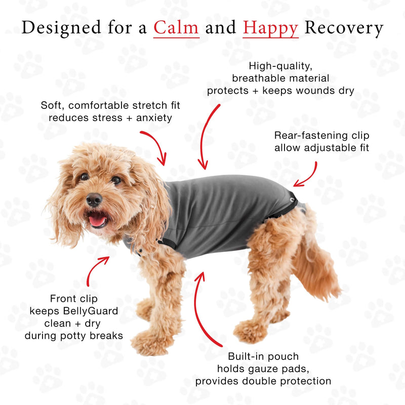 BellyGuard Recovery Suit for Dogs, After Surgery Dog Recovery Suit Female and Male, Soft Cotton Dog Surgery Suit Female Spay, Dog Surgical Recovery Suit Male Neuter, Comfy Surgical Onesie for Dogs. Large Grey - PawsPlanet Australia