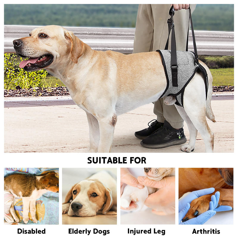 Dog Lifting Harness for Back Legs, Dog Support Harness Slings for Large Medium Small, Adjustable Dogs Brace for Hind Leg, Support Strap for Injured Disabled Elderly Dogs Walking Aid (XL) XL