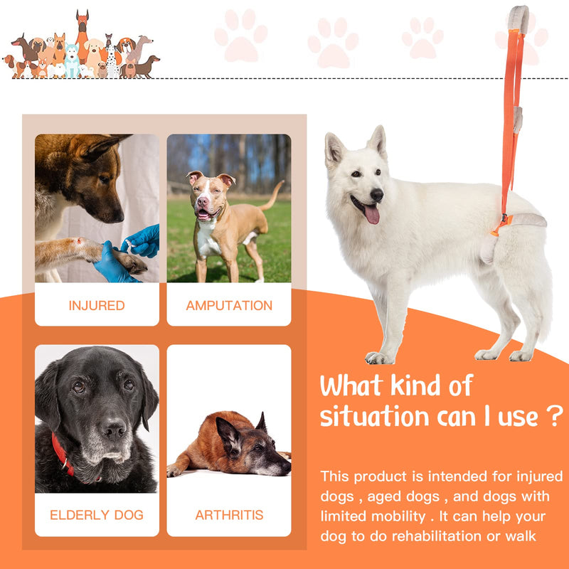 Mixweer 2 Pcs Dog Support Harness for Back Legs Dog Rear Lifting Sling Aid with Handle and Shoulder Strap Hind Leg Support for Pet Mobility Helps Puppy with Poor Stability Joint Injuries(Orange) Orange