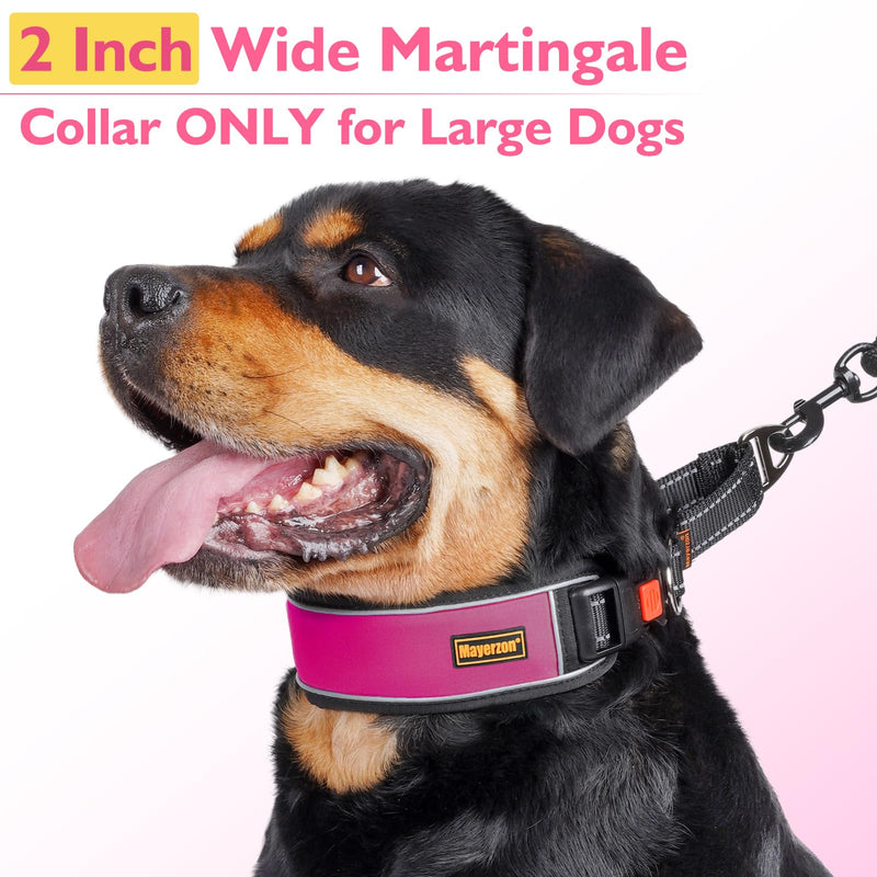 Mayerzon 2 Inch Wide Martingale Collar for Large Dogs, Patented No Pull Walking Training Dog Collar for Pitbull German Shepherd, with Buckle, Reflective Stitching, Adjustable (Hot Pink, M) Hot Pink M: 17"-19" - PawsPlanet Australia
