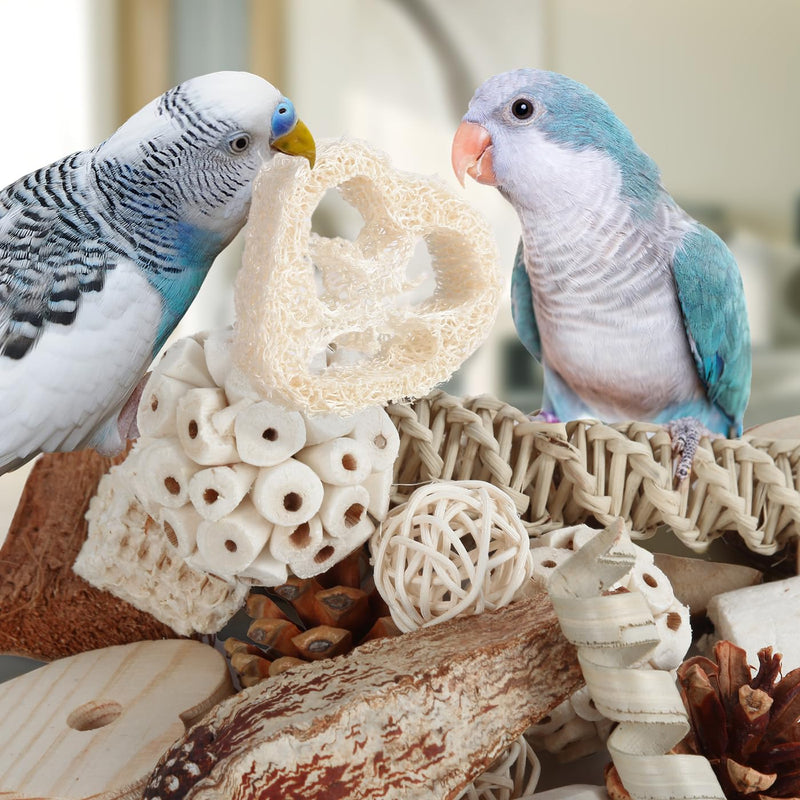 Kyouki Bird Toys Parrot Toys Natural Bird Foraging Box Foot for Parakeets,Cockatiels,Conures,Love Birds,and Other Small to Medium Birds (Medium) - PawsPlanet Australia