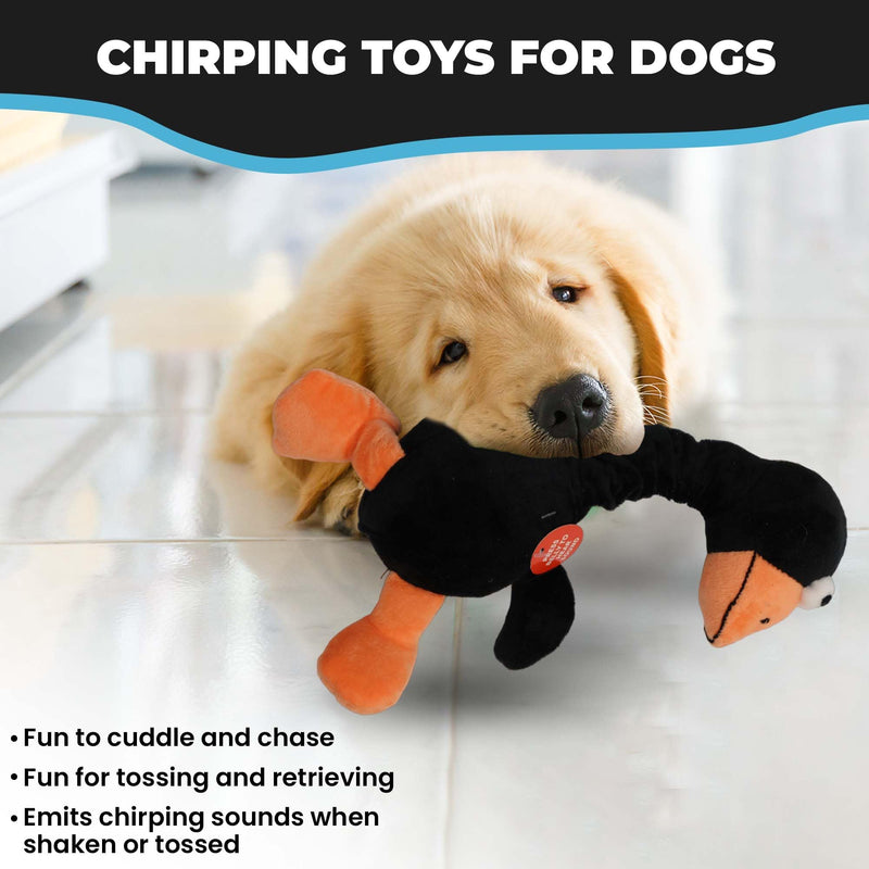 SPOT Ethical Plush Chirpies Assorted Birds 14-Inch Dog Toy