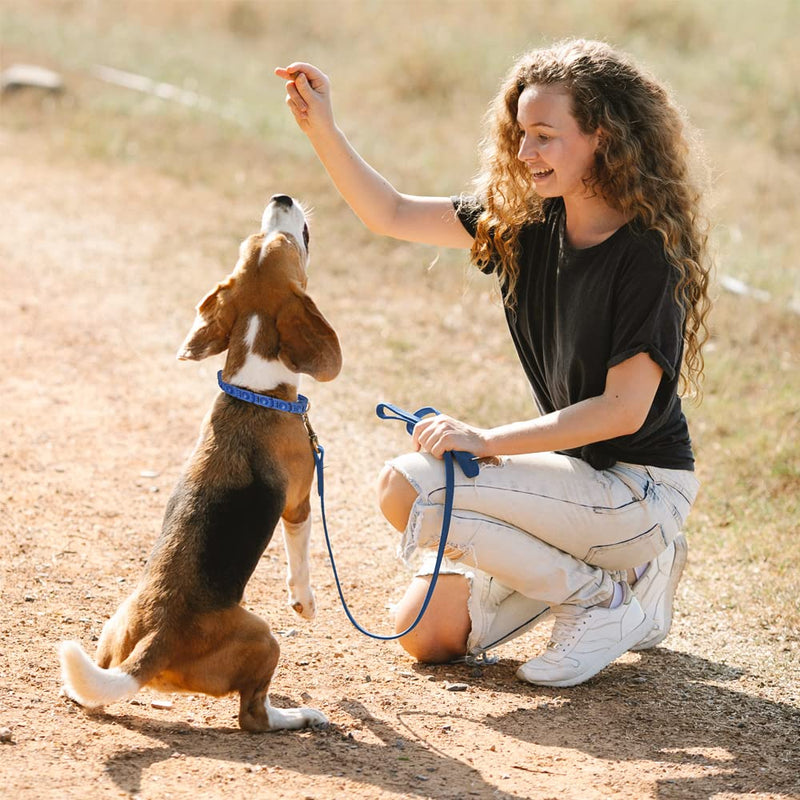 1TO3GO【Upgrade】 Adjustable Dog Training Collar with 4 Extra Links for Medium, Large and X-Large Dogs (Welded-Ring) Blue - PawsPlanet Australia