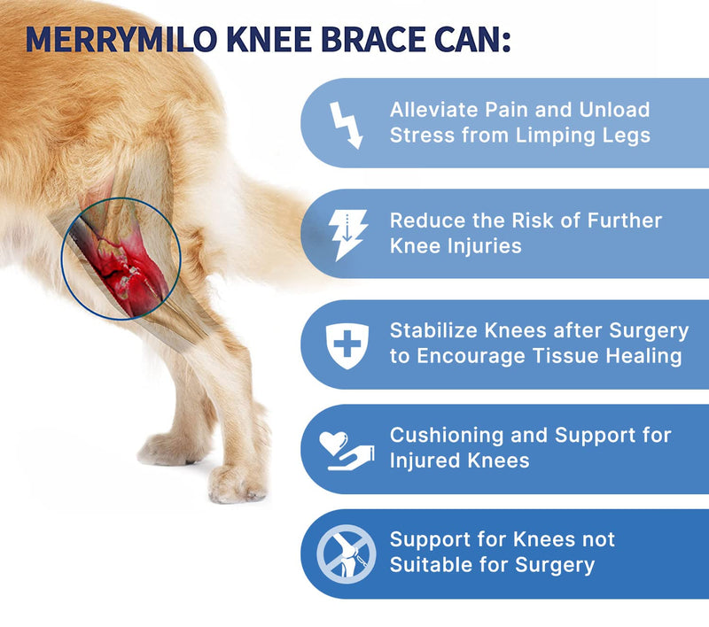 Dog Knee Brace for Dog ACL Brace Hind Leg or Rear Leg, CCL Brace Hind Leg (Size: S) - PawsPlanet Australia