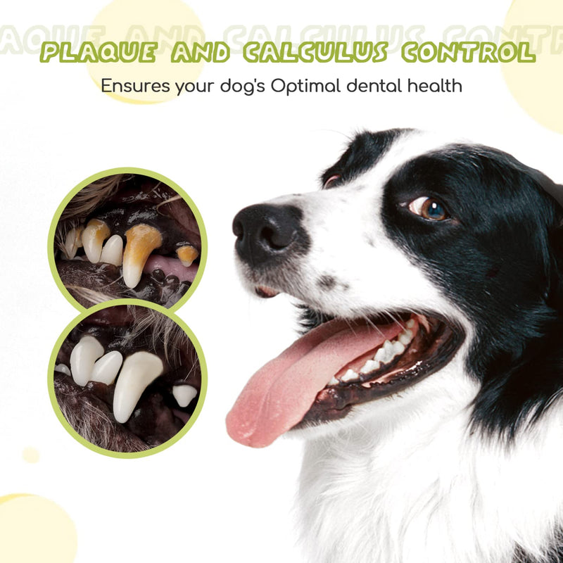 Nobleza 2 Pack Dog Toothbrush and Enzymatic Toothpaste Kit with 2 x Finger Toothbrush for Clean Pet Teeth, Eliminate Bad Breath, Remove Plaque and Tartar, Improve Gums Health and Pet Oral Hygiene Care Green 1 count (Pack of 2)