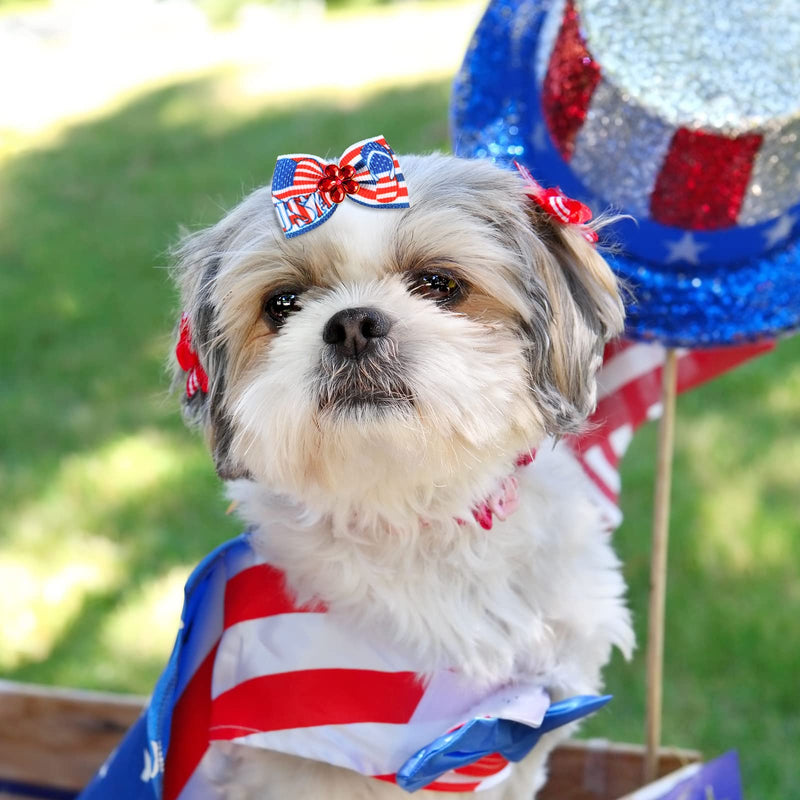 40 Pieces 4th of July Dog Cat Hair Bows Independence Day Puppy Hair Bows Red Blue White American Flag Patriotic Dog Grooming Bows Ties with Star Rubber Bands Elastic Dog Accessories for Pets Colorful - PawsPlanet Australia