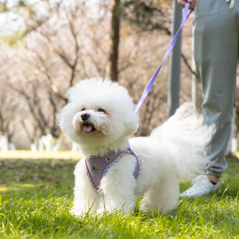 Dog Harness and Leash Set, No Pull Pet Harness for Small Dogs Easy Walking,Soft Breathable Small Dog Harness,Adjustable Reflective Step in Vest Harness for Puppy,Kitten, Cats Medium purple - PawsPlanet Australia