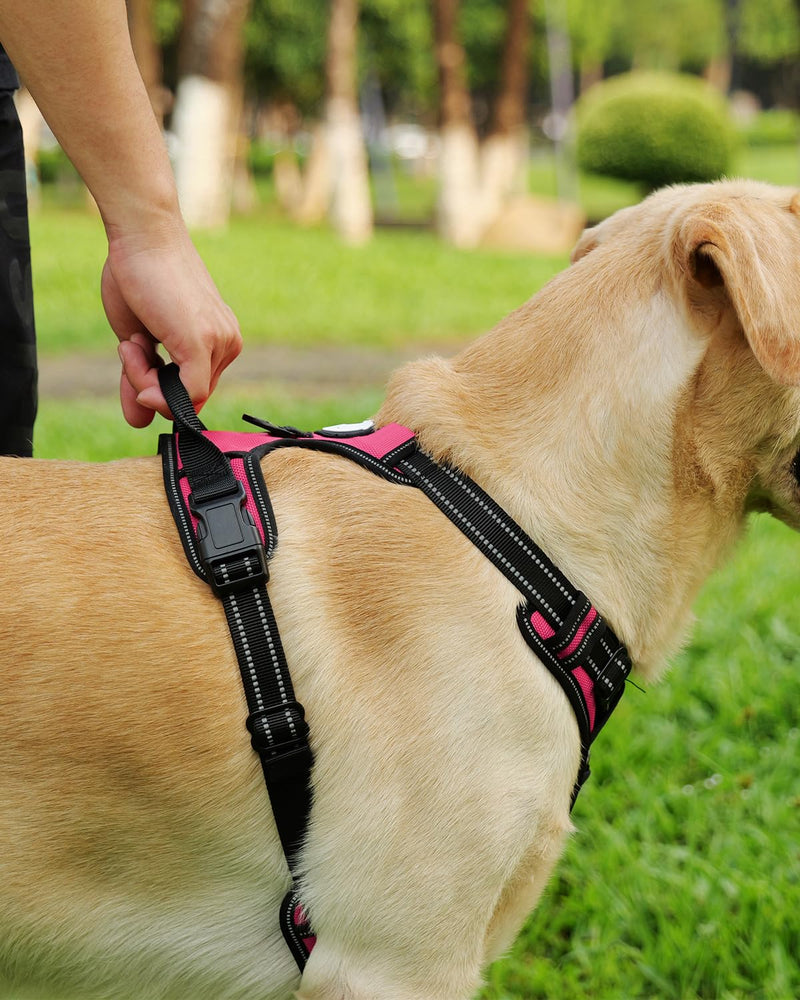 Joytale Dog Harness (Chest: 17-34"), Dog Collar and 6FT x 1" Wide Dog Leash Set, Reflective Padded Nylon Collar and Leash, Adjustable Soft Harness with Handle for Dogs - PawsPlanet Australia