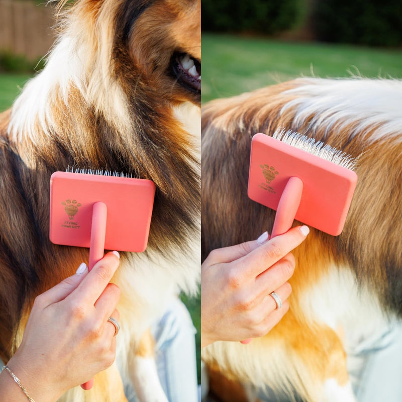Pet Slicker Brush With Soft Massage Grooming Stainless Steel Pins - For Dematting, Shedding Fur, and Undercoat - Ideal Gift for Professional Pet Groomers - Long Slicker Brush - Flying Pawfect Flat Large (3-Pack) Coral & Baby Blue - PawsPlanet Australia