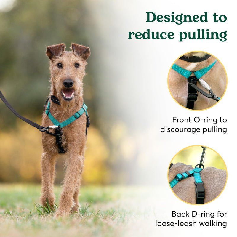 Better Walk No-Pull Dog Harness, Teal, 1” Medium – Stay in Control with Adjustable, Comfortable, Easy to Wear, & Durable Dog Harness – Ideal for Medium Dogs 35-65lb Aqua Teal - PawsPlanet Australia