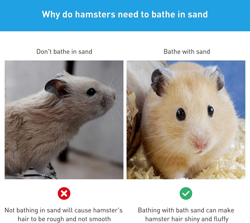 Hamster Small Animal Sand Bath Box Bathtub Critter's Bathroom with Bath Sand and Scoop Accessories for Mice Hedgehog Lemming Gerbils or Other Small Pets (Medium) +200g Sand+1 Spoon Medium - PawsPlanet Australia