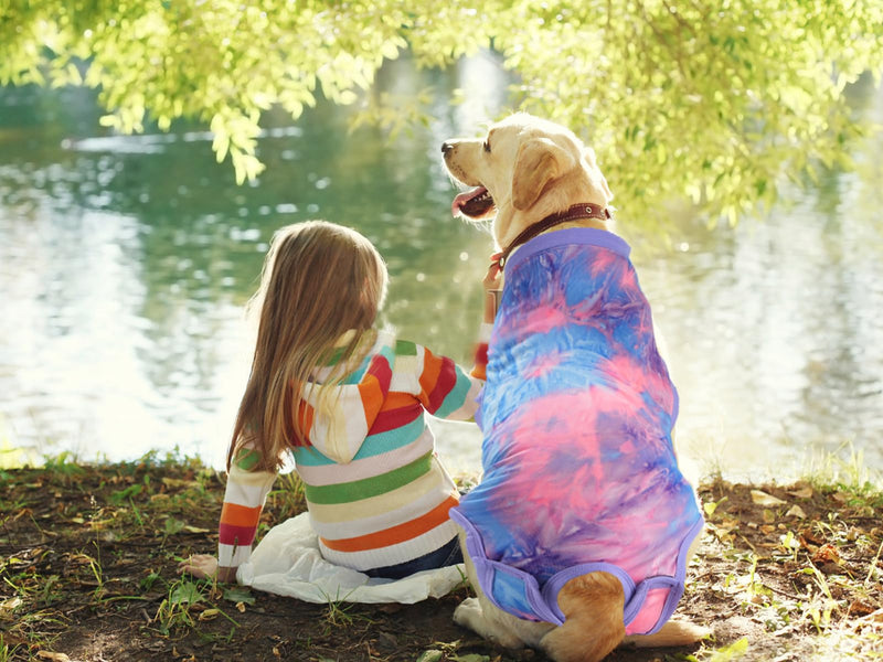 Dog Surgical Recovery Suit, After Spay Abdominal Wounds Post Surgical Suit for Dogs Female Male Dog Onesies, Anti Licking Breathable Dog Shirt for Small Large Dogs, Dog Surgery Collar Alternatives XXL（Back length 22.4", Chest 25.6"-27.6"） Pinkblue - PawsPlanet Australia