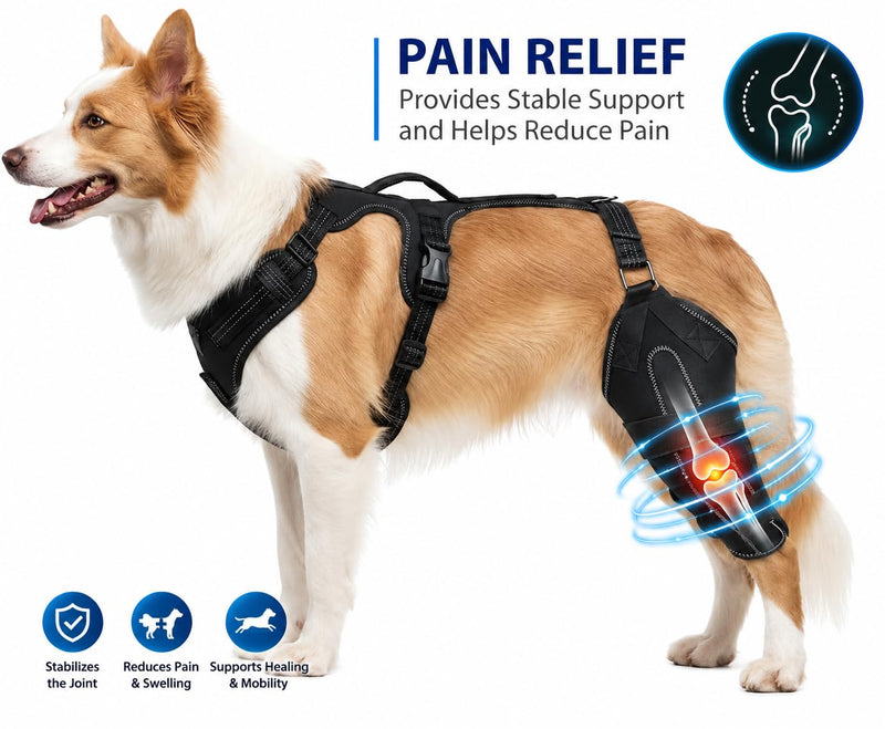 Dog Ligament Brace Support for ACL Injury Torn Recovery, Pet Adjustable Neoprene Dog Leg Support Sleeve, Pet Knee Joint Stabiliser for Cruciate ligament injury recovery, arthritis support. (M) M
