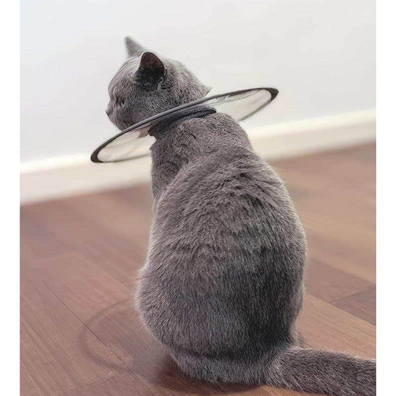 Cat Dogs Cone E Collar with Low Noise Fasteners Glow in The Dark, Transparent Cat Recovery Collar, Licking and Scratching Free Cone, Extra Soft Small Medium Dog Pet Surgery Collar High Grade Grey S (Between 4.4-7.7lb.)