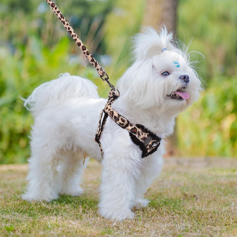 PUPTECK Dog Harness and Leash Set Small Sized, Step in No Pull Adjustable Puppy Cat Harness Reflective Pet Vest S (13-17lbs, Chest 15"-18") #3 Brown(Plush Leopard Print) - PawsPlanet Australia