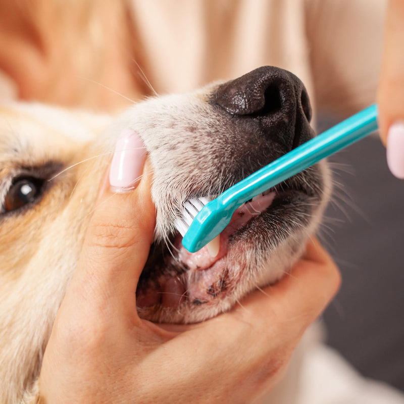 Dog Toothbrush,8 Pieces Pet Toothbrushes,2 Three Sided Pets Toothbrush,6 Double Head Tooth Brush,Multi-Angle Dental Cleaning Brushes for Dogs,for Clean Pet Cats Teeth