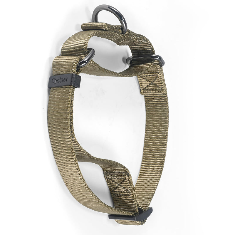 Nylon Adjustable Martingale Dog Collars,Comfort and Silky Training & Daily Use Dog Collar with Heavy Duty D-ring for Active Dogs. (Military Green, Medium) Military Green - PawsPlanet Australia