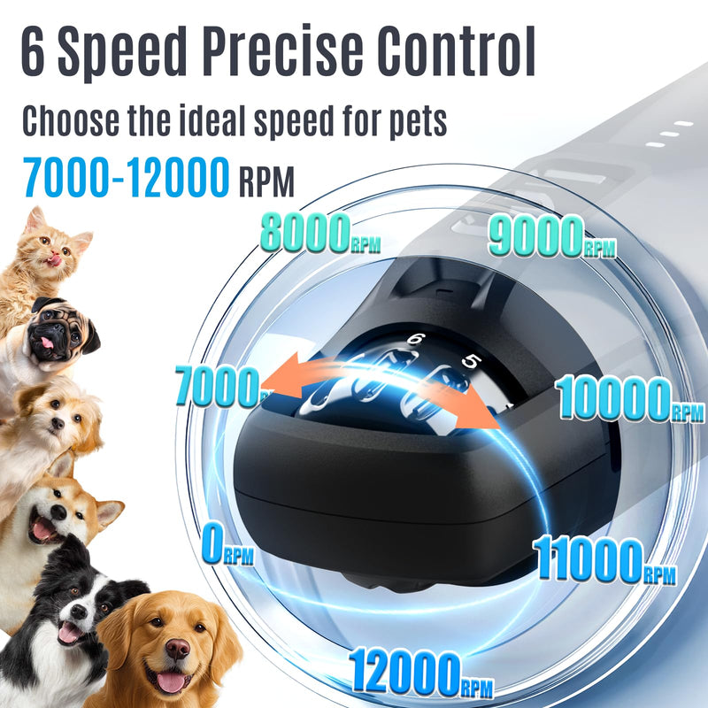 Casfuy New 6-Speed Dog Nail Grinder - 50% More Power Dog Nail Trimmers with 2 LED Lights Quiet 7h Running Time Electric Pet Nail Grinder File Toenail Grinder for Large Medium Small Dogs & Cats (Black) Black