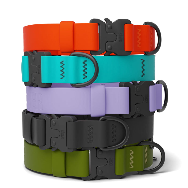 Säker Waterproof Dog Collar - Adjustable Lightweight Dog Collars for Medium Dogs - 1 Inch Durable Medium Dog Collar with Aluminum D-Ring, Daisy Chain and Quick-Release Buckle | Purple Dog Collar M Lilas - PawsPlanet Australia