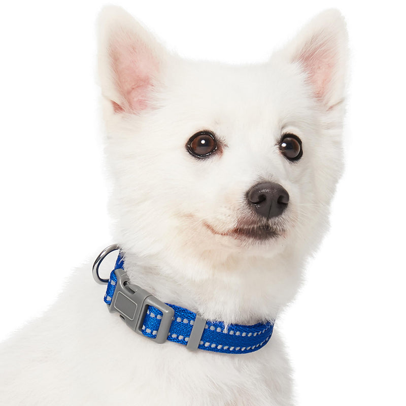 Blueberry Pet Essentials Reflective Dog Collar & Leash Set, Adjustable for Small Dogs | Safe Walking Gear for Pet Parents, Puppy Training & Daily Use SmallDogs, Navy - PawsPlanet Australia