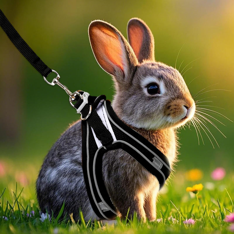 2 Pack Rabbit Harness and Leash Set, Double Buckle Bunnies Harness with Reflective Strips Soft Breathable Mesh Vest Harness for Rabbits Walks Accessories(Blue and Black) XXXS Blue and Black - PawsPlanet Australia