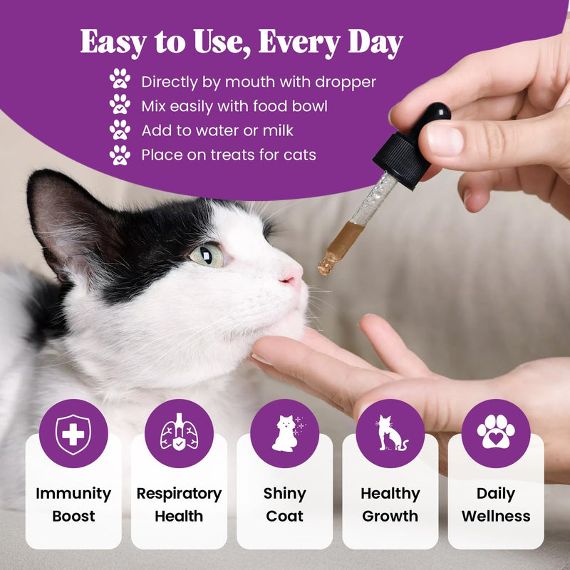 L-Lysine Supplement for Cats & Kittens – Immune Support Liquid for Feline Respiratory Health, Sneezing, Runny Nose & Watery Eyes – 250mg Lysine Cat Drops with Vitamins Complex – Chicken Flavor
