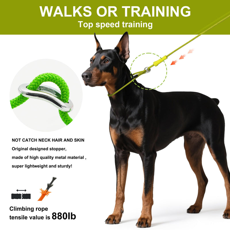 Slip Lead Dog Leash,Training Leash,No-Pull Slip Lead and Collar,Heavy Duty&Durable,4ft Thin Slip Lead for Small,Medium and Large Dogs (Blue1.2M Long) 4 ft BLUE - PawsPlanet Australia