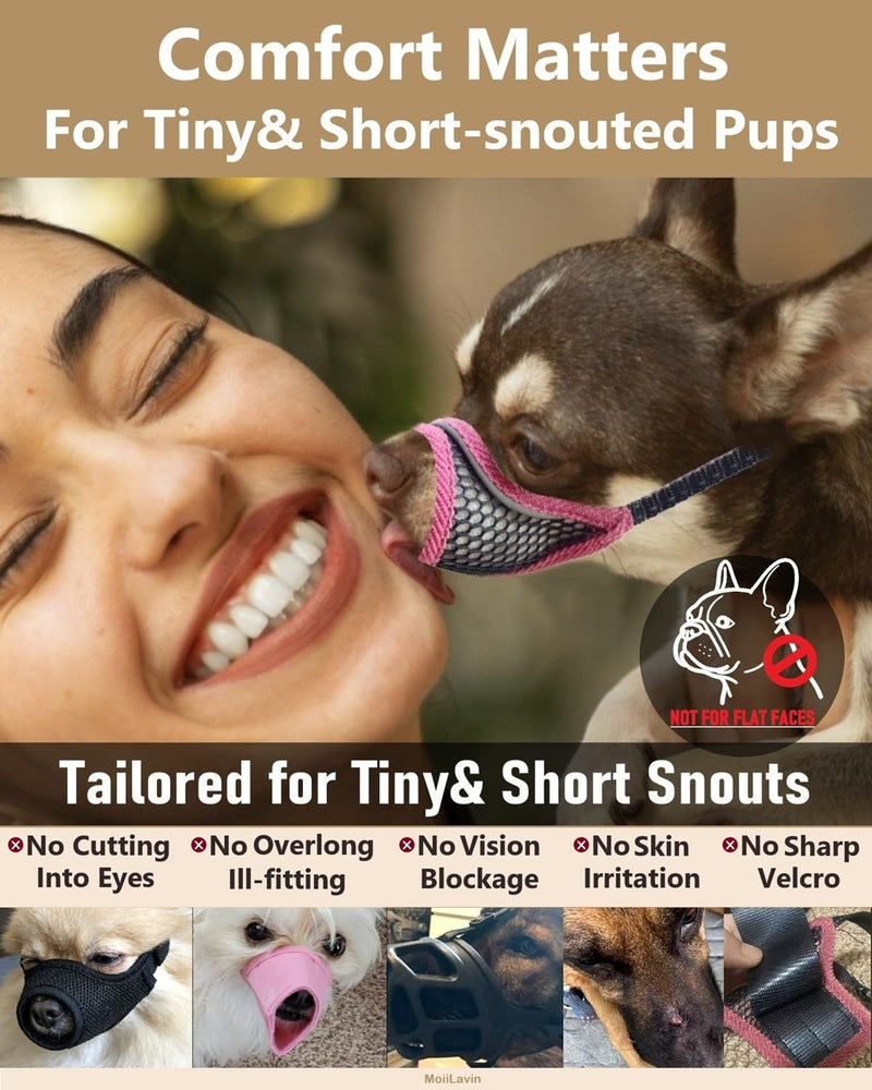 Dog Muzzle for Small Medium Dogs to Prevents Biting for Brachycephalic Dogs,Chihuahua Pom Shih Tuz,Short Snout Friendly,Soft Breathable Lightweight Mesh,Open Front,for Grooming Vet Visits (Black, XS) Deep Black XS Snout (5.3"- 5.7") - PawsPlanet Australia