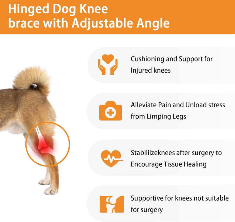 Adjustable Dog Knee Brace with Extra Collar, Support for Torn Acl Hind Leg, Tear Ligament, Osteoarthritis,Rear Leg Limp, Recovery After Surgery,et（Left Leg,XL） Left Leg Extra Large - PawsPlanet Australia