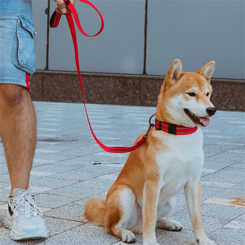 EXCELLENT ELITE SPANKER Strong Durable Nylon Dog Training Leash Traction Rope 4 Feet Long 3/4" Wide with Handle for Small Dogs(Green) 4.3ft x 3/4 in. Green - PawsPlanet Australia