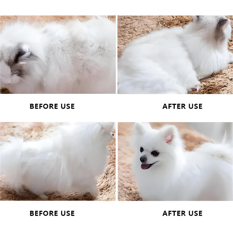 Big G Dog Slicker Brush for Professional Grooming - Fluff, Detangle & Style Goldendoodles, Labradoodles, Poodles & Long-Haired Dogs - Large Coral Curved Brush, Saves Time & Energy - PawsPlanet Australia