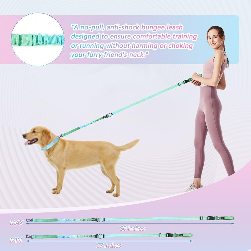 Hands-Free Heavy Duty Bungee Dog Leash, No Pull Running Waist Leash for Walking, Training with Car Seatbelt, Adjustable 4-6FT, Reflective, Dual Handles, Metal Safe Lock (OCEANCHILL) OCEANCHILL - PawsPlanet Australia