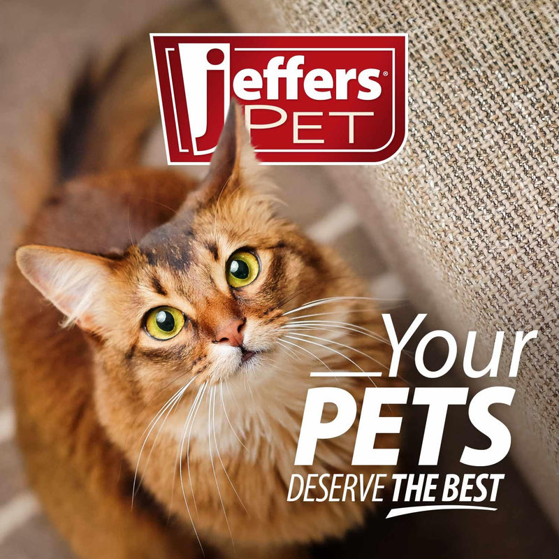 Jeffers Pet Cat Collar with Bell – Durable Breakaway Plastic Buckle Safety Collar for Kittens & Adult Cats, Adjustable Single-Ply Nylon, Indoor & Outdoor Use – Hello Mouse Design, Light Pink Hello Light Pink