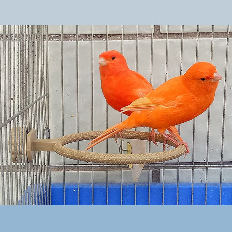 FOIBURELY 2 Ring Plastic Stand Perches Holders Canary Finch Budgie Bird Cage Universal Plastic Stand Perches Holders（4.6 Inches） - PawsPlanet Australia
