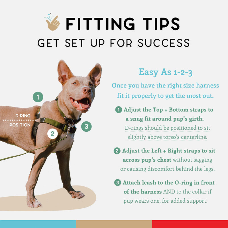 Wildebeest No Pull Dog Harness | Comfortable Training Harnesses | Effective No Pull Harness Design | Ideal for Medium Sized Dog | 4-Point Adjustable(M - 22~28 inch Girth, Olive) M - 22~28 inch Girth - PawsPlanet Australia