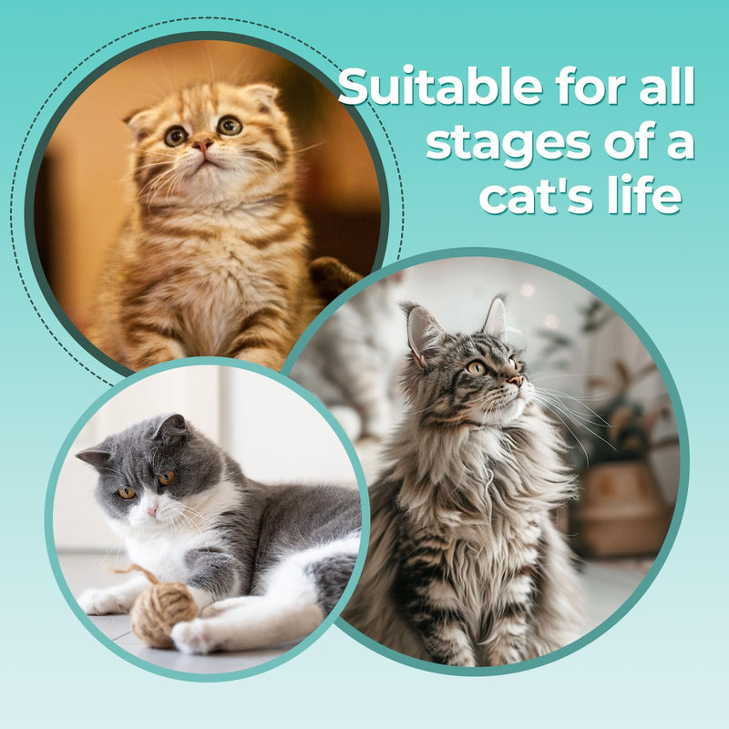 Cat Nail Clippers with a Removable Debris Collector, Adjustable Size, Built-in Hidden Nail File, Round Hole Blade, Safe Home pet Grooming Tool - PawsPlanet Australia